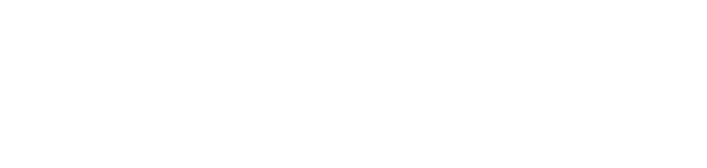 fflex-ai-logo